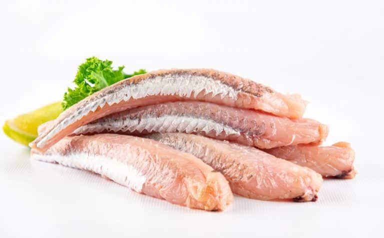 Gurnard