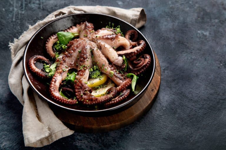 Octopus