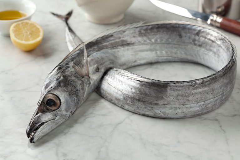 Ribbon Fish