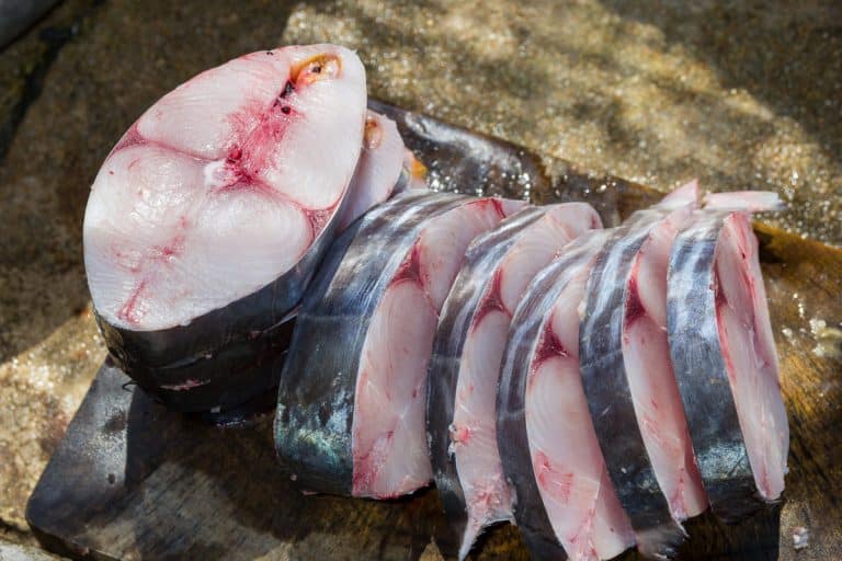 King Mackerel