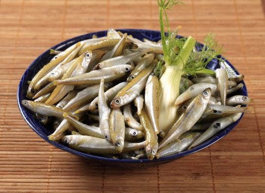 anchovy and fennel salad