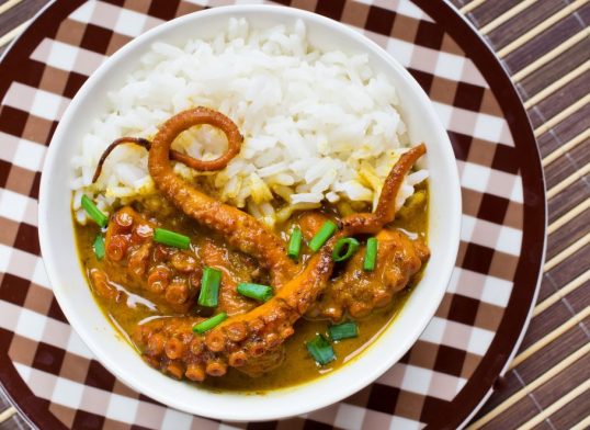 octopus curry