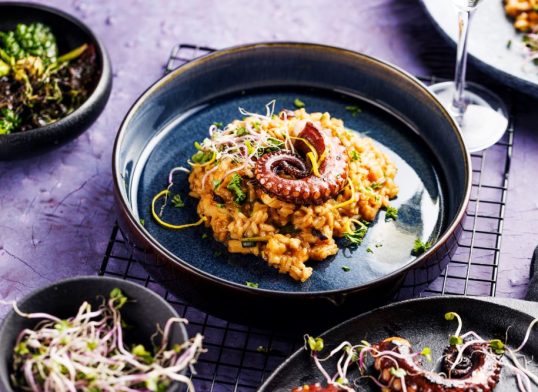 octopus and rice pilaf