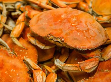 crab boil