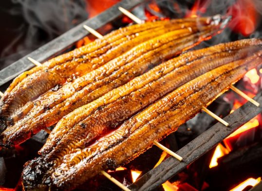 grilled eel