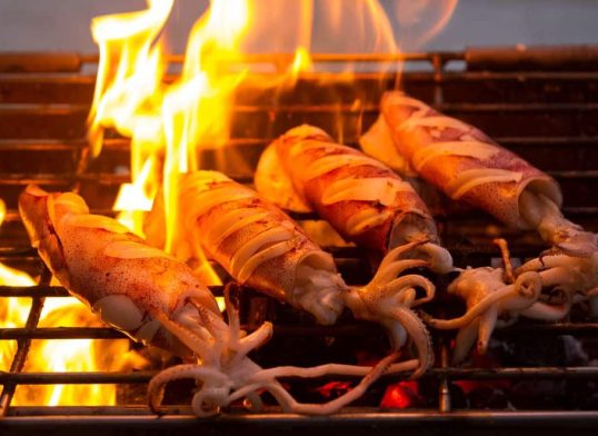 grilledsquid