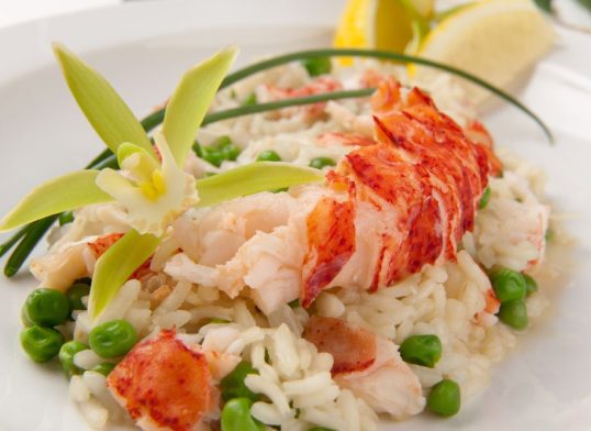lobster risotto
