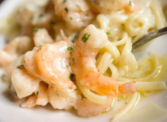scampi with creamy alfredo sauce
