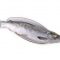arctic char whole gutted 1 1.3kg