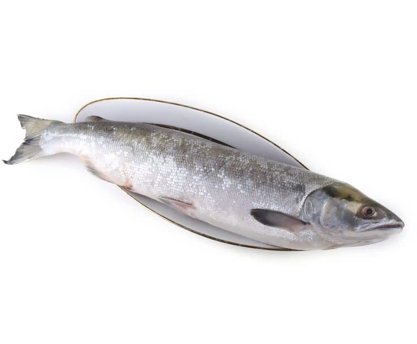 arctic char whole gutted 1 1.3kg