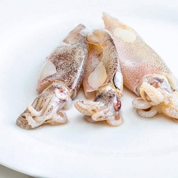 small squid 1kg