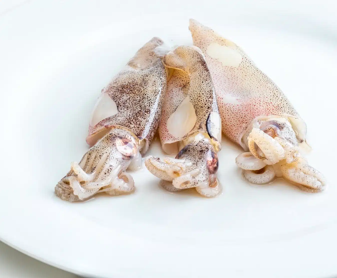 small squid 1kg