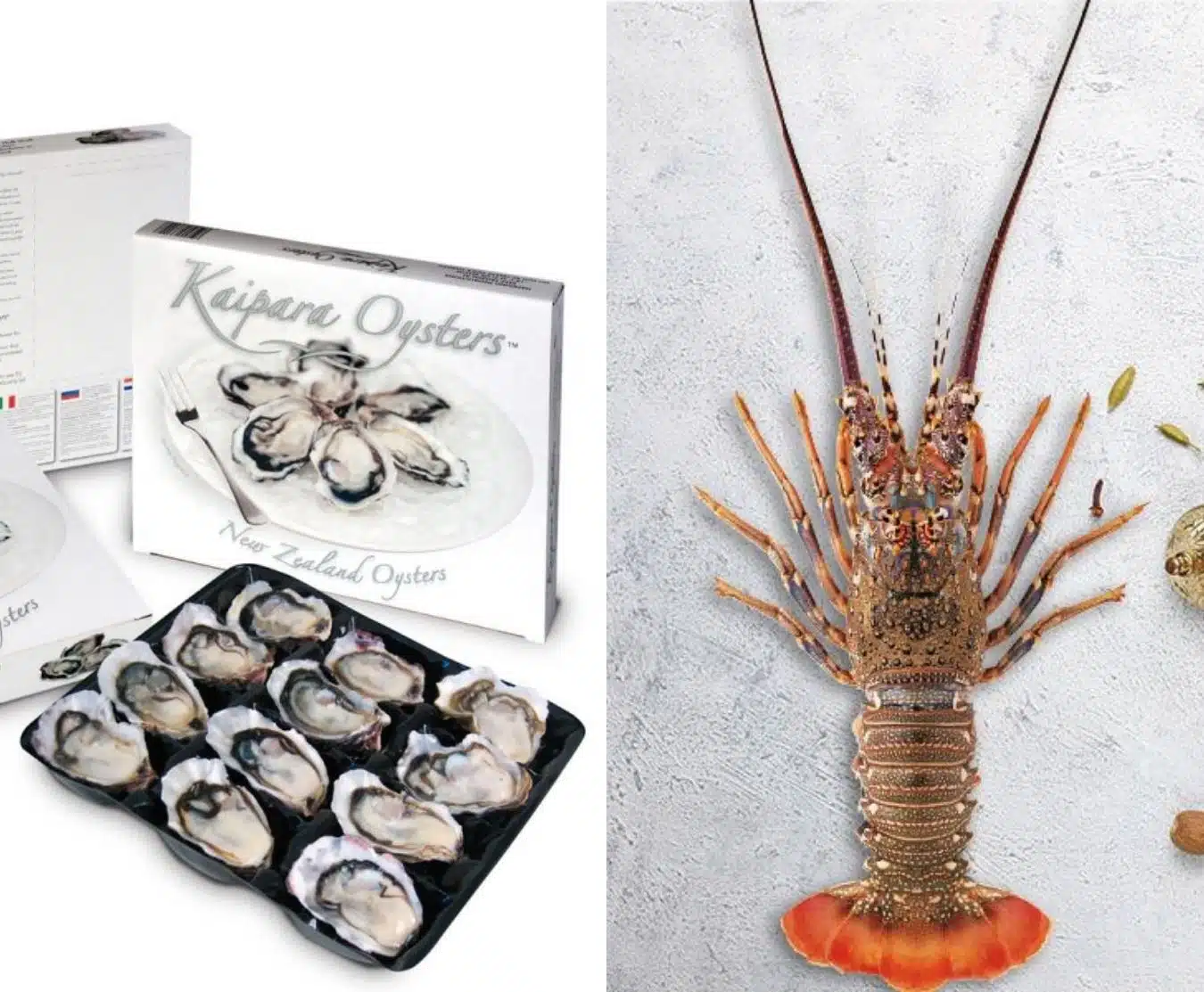 lobster & oyster bundle