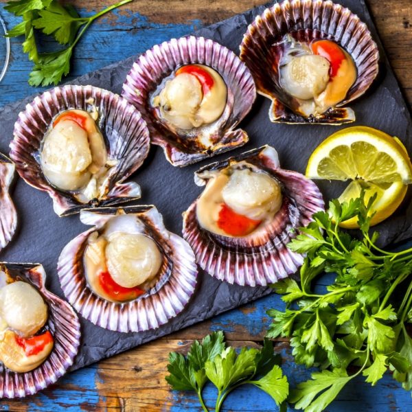 scallops in half shell (8)