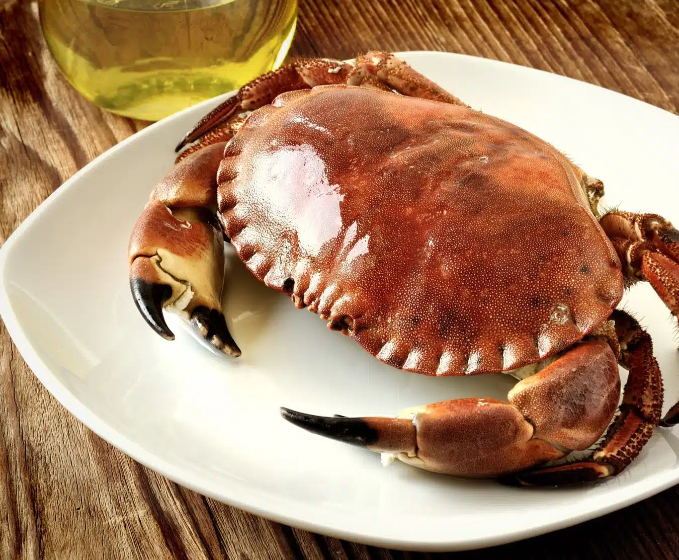 crab whole 800 950g