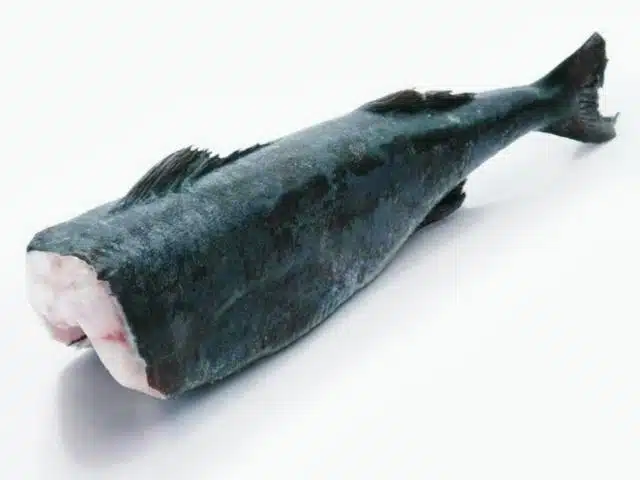 (black cod) sabblefish headed gutted 1.8/2.2kg