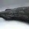 (black cod) sabblefish headed gutted 1.8/2.2kg