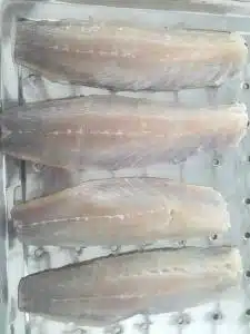 grey mullet fillet 350 450g