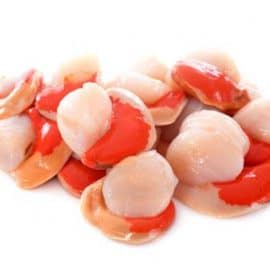 hand dived half shell scallops x 5