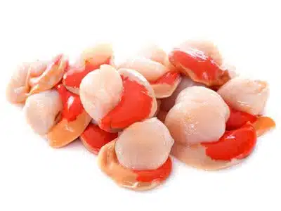 hand dived half shell scallops x 5