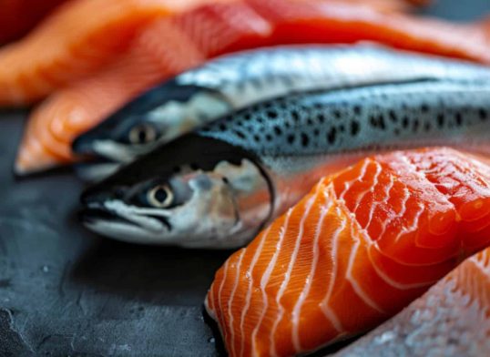 04 which fish are beneficial for eye health