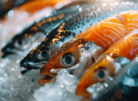 00 which fish are beneficial for inflammation reduction