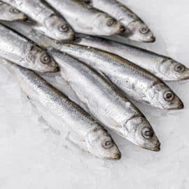 Frozen sprats 1kg - small silver fish individually quick frozen
