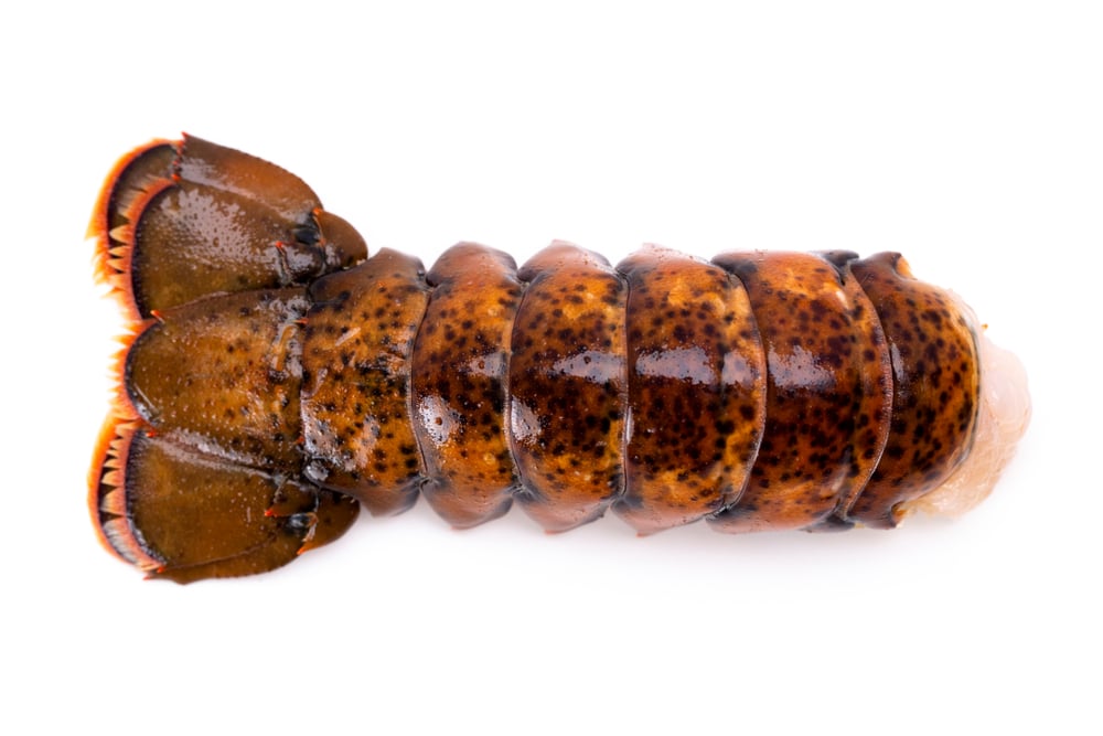 Lobster Tail