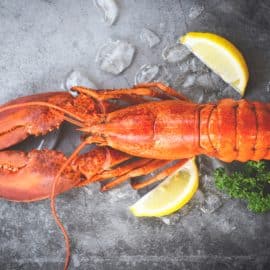 Lobster Cooked