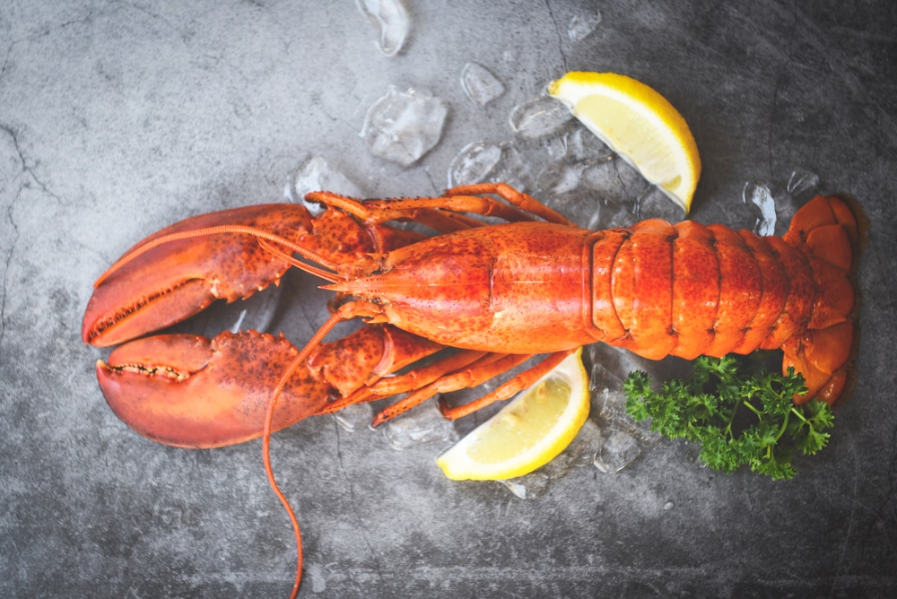 Lobster Cooked