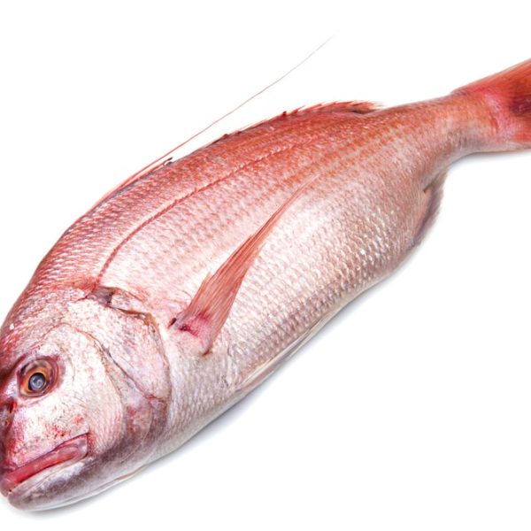 Red Snapper Whole