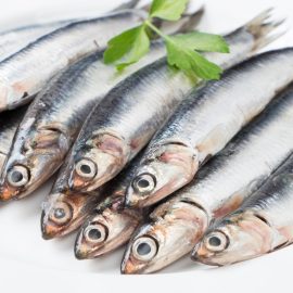 anchovies xlarge 1kg
