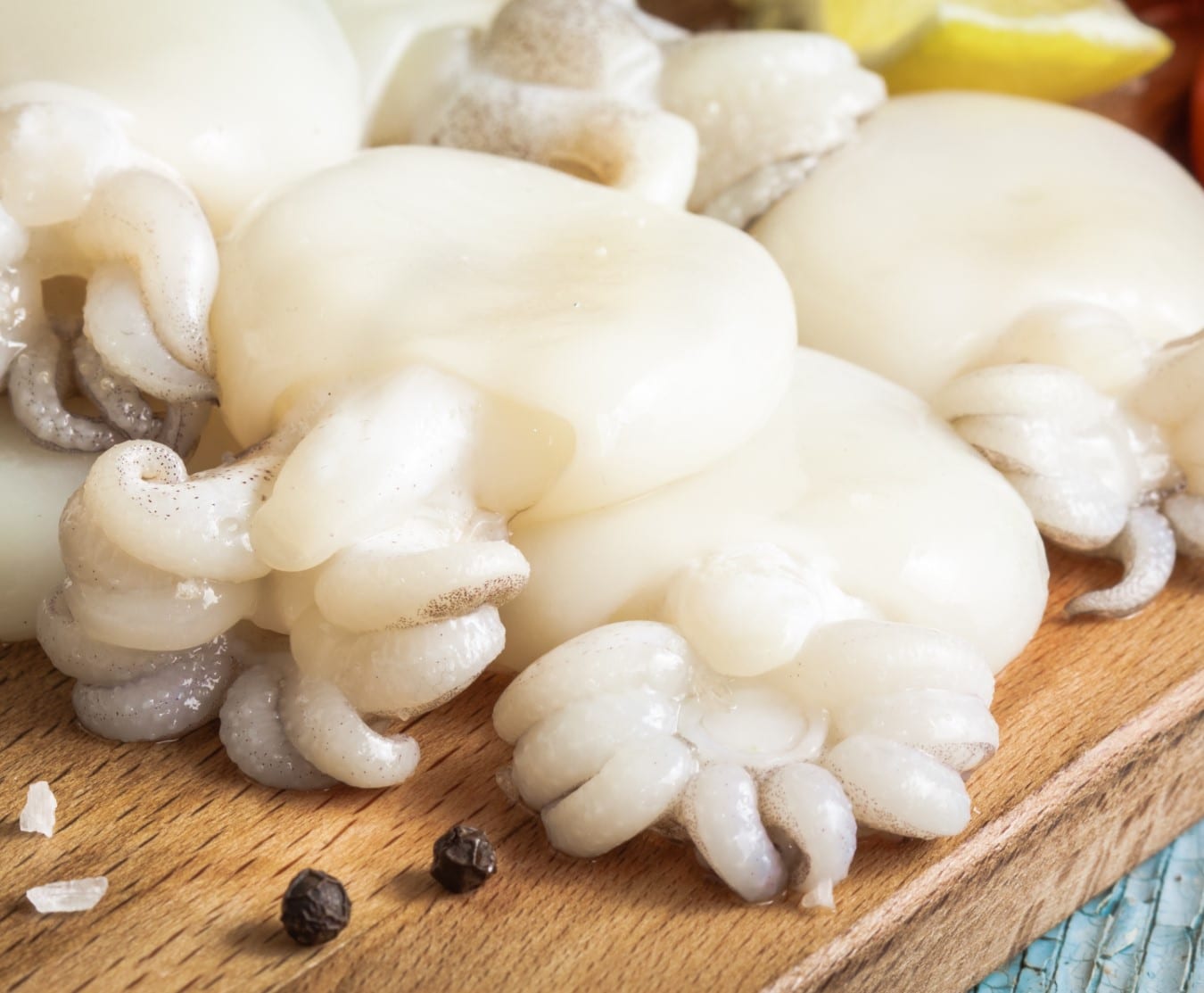 baby cuttlefish 1kg