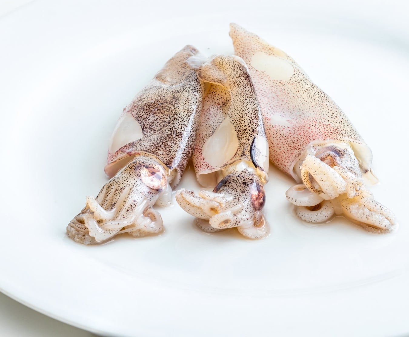 squid tubes 1kg (taiwanese)