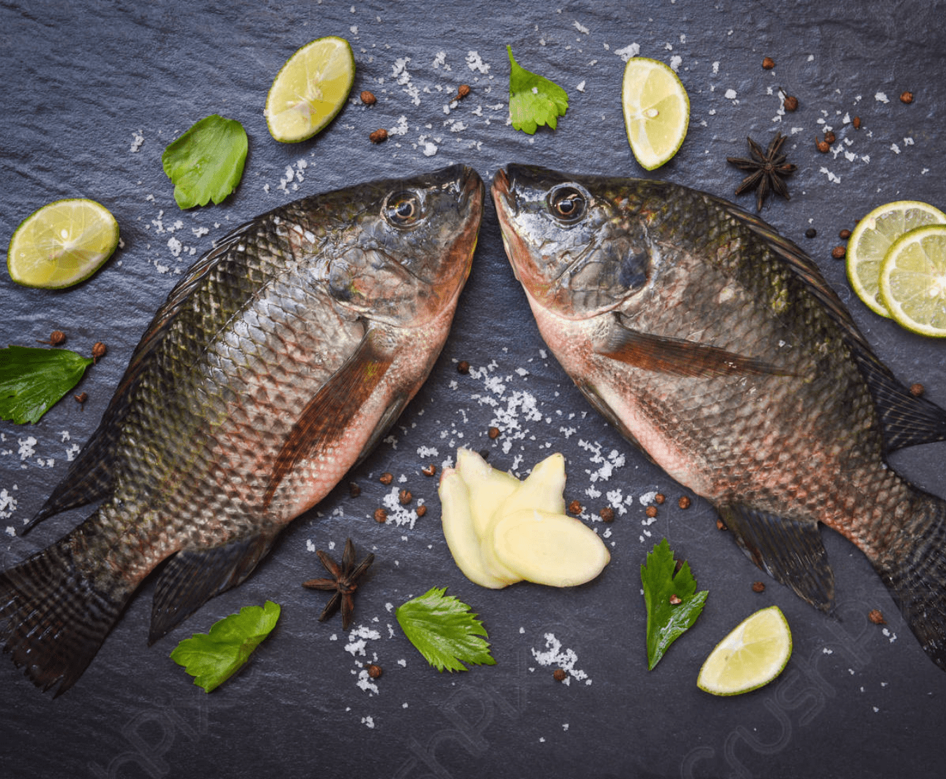 black tilapia 500/700g