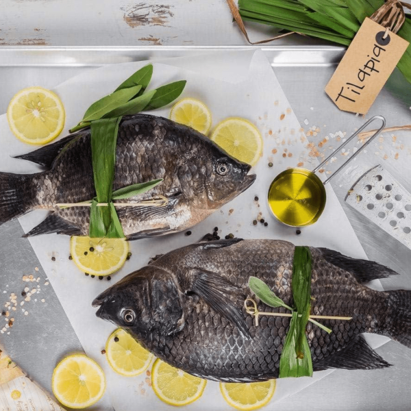black tilapia 500/700g
