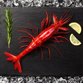 carabineros wild red prawns 800g
