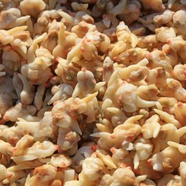 clam meat 1kg