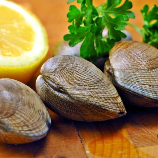 clams in whole shell - 1kg