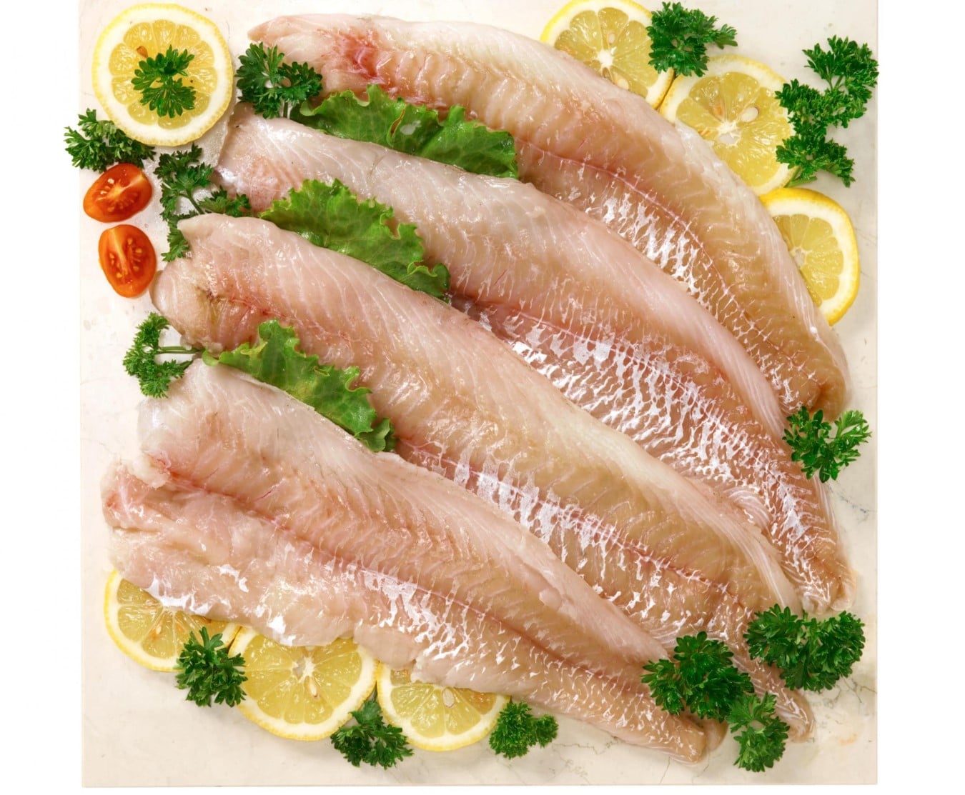 coley fillet 1kg