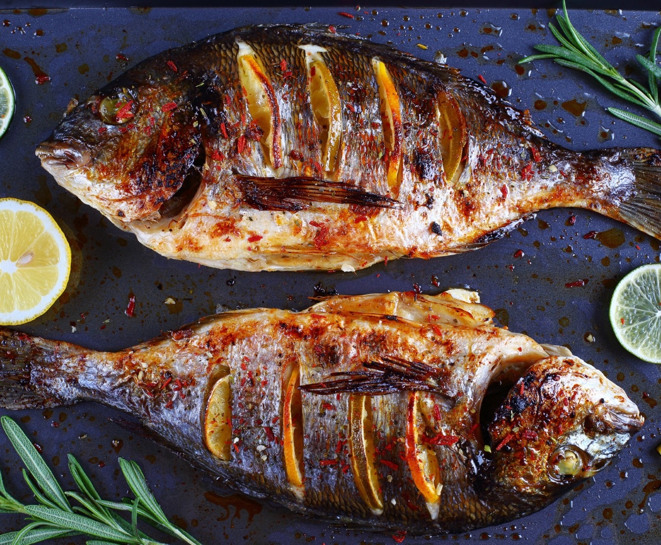 gilt head bream 4/600g