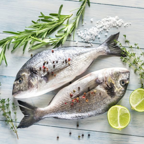gilt head bream 4/600g