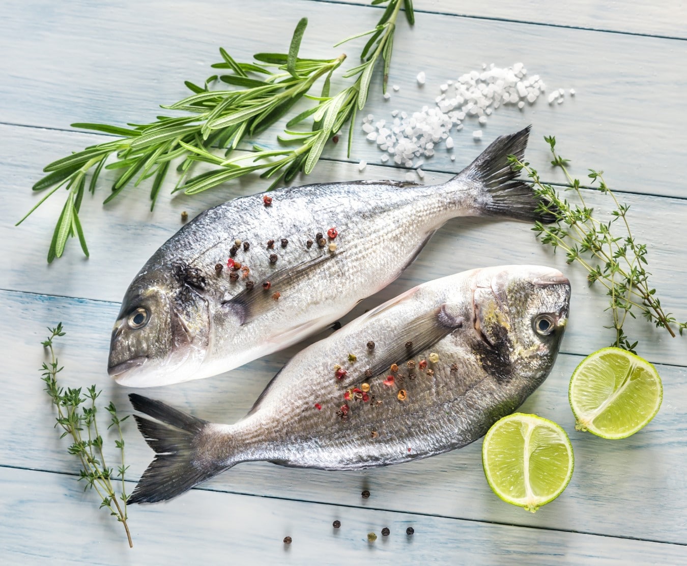 gilt head bream 4/600g