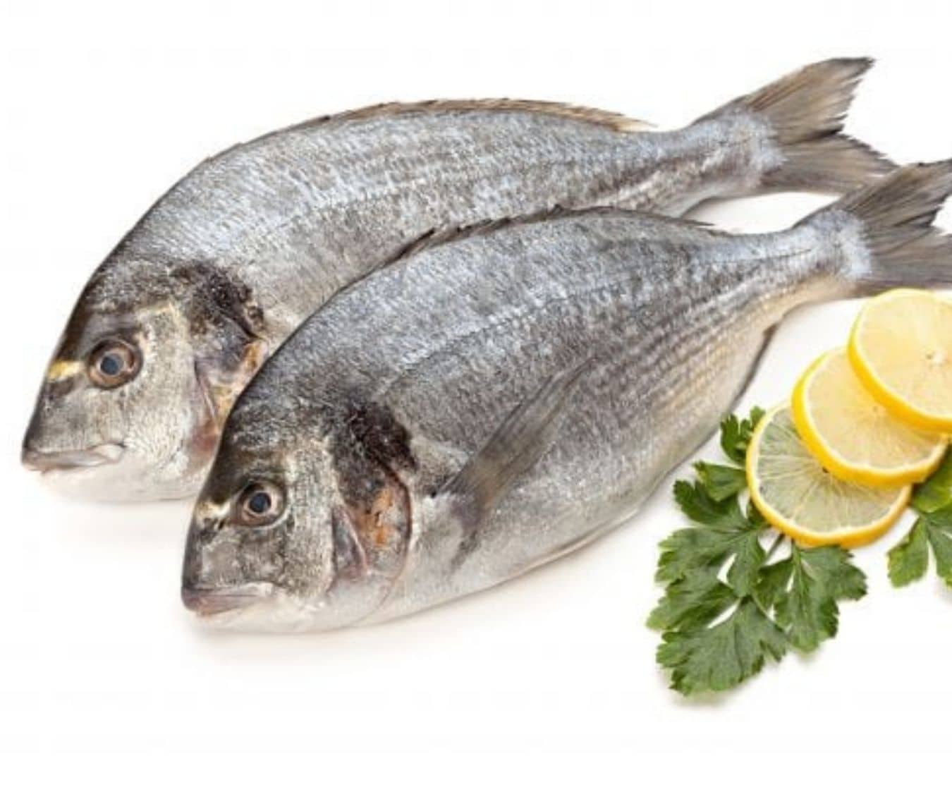 gilt head bream 4/600g