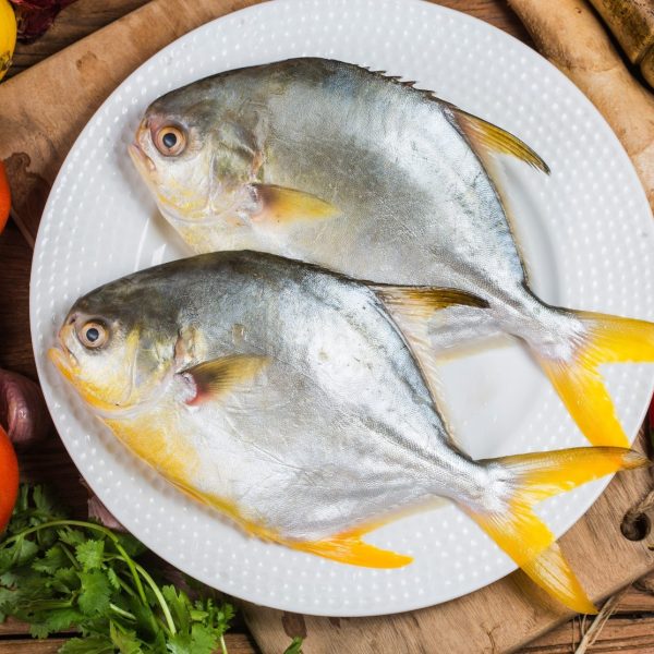 golden pomfret 300 350g