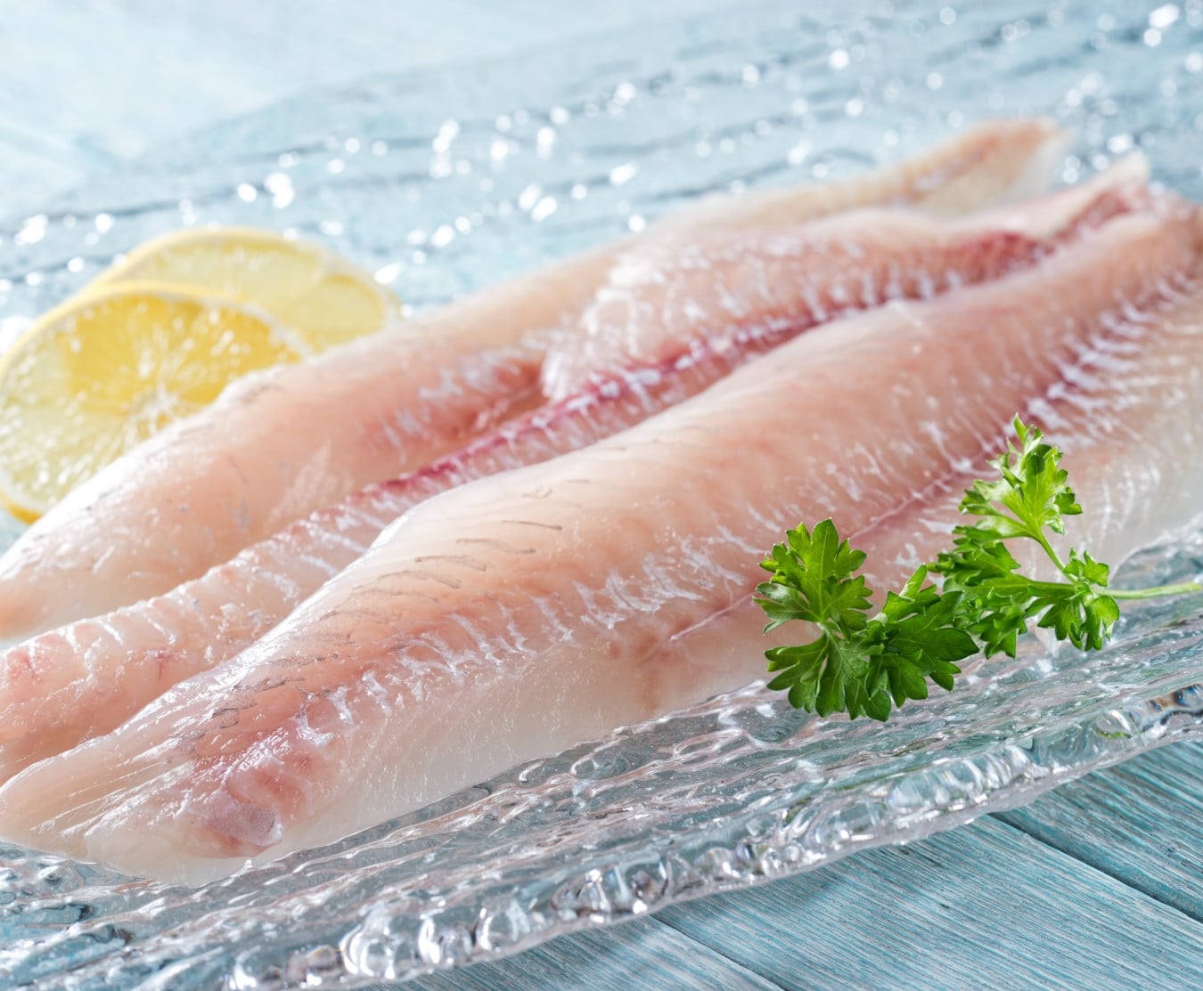 haddock fillets