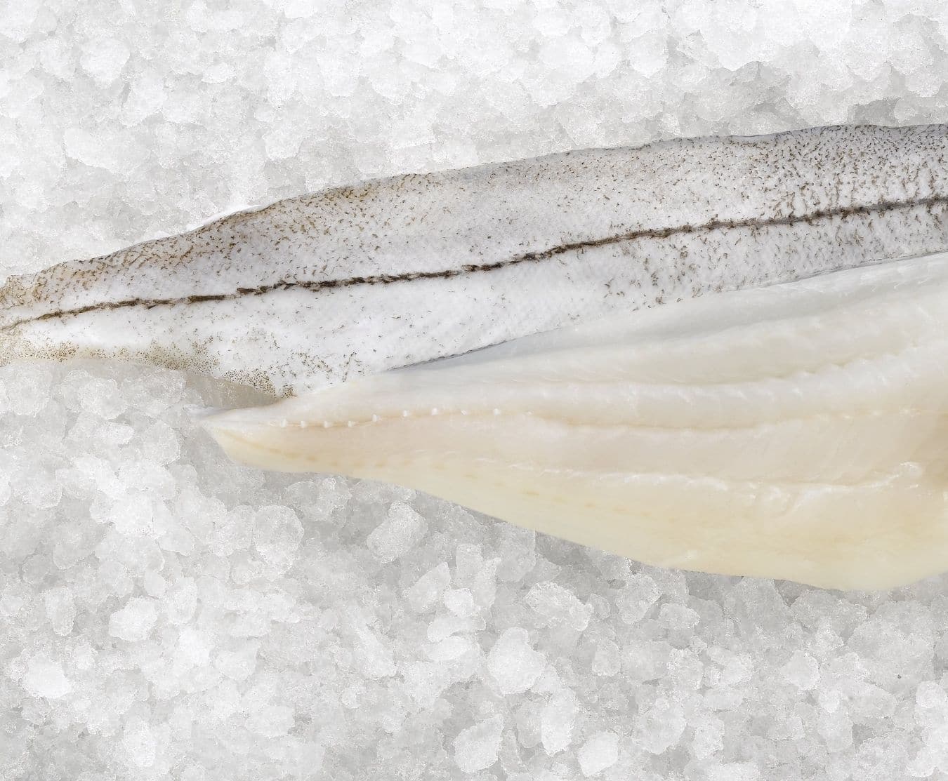 haddock fillet (skin on) 1kg