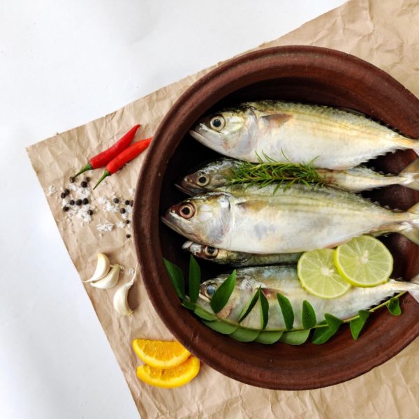 Indian Mackerel fish