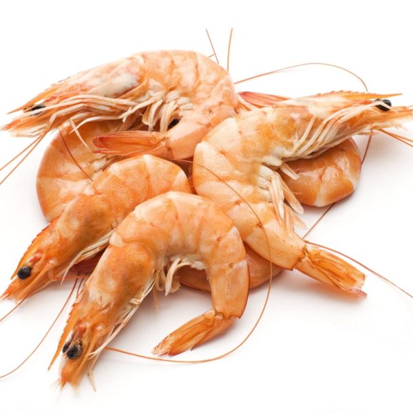 king prawns farmed 30 40 1kg