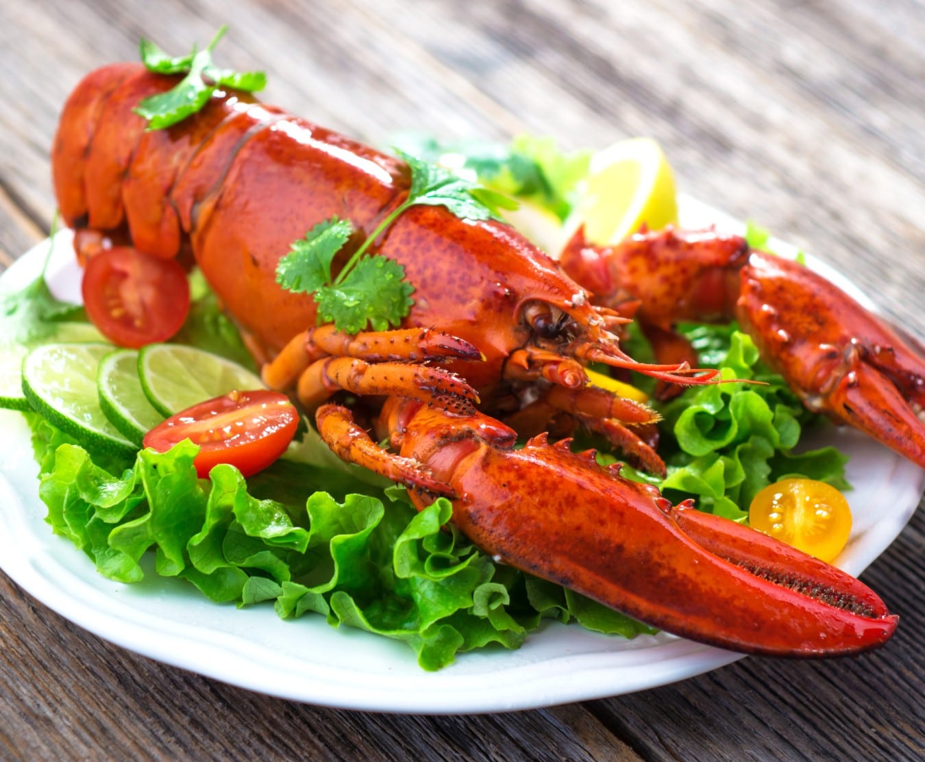 lobster cooked 500 550grams